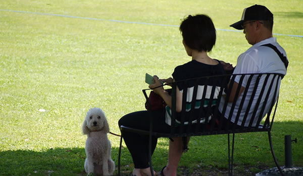 妻や旦那の不倫を見破るそのあとの選択